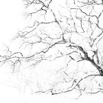 Portfolio winter natuurfotografie.