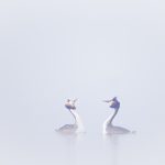 Portfolio lente natuurfotografie.