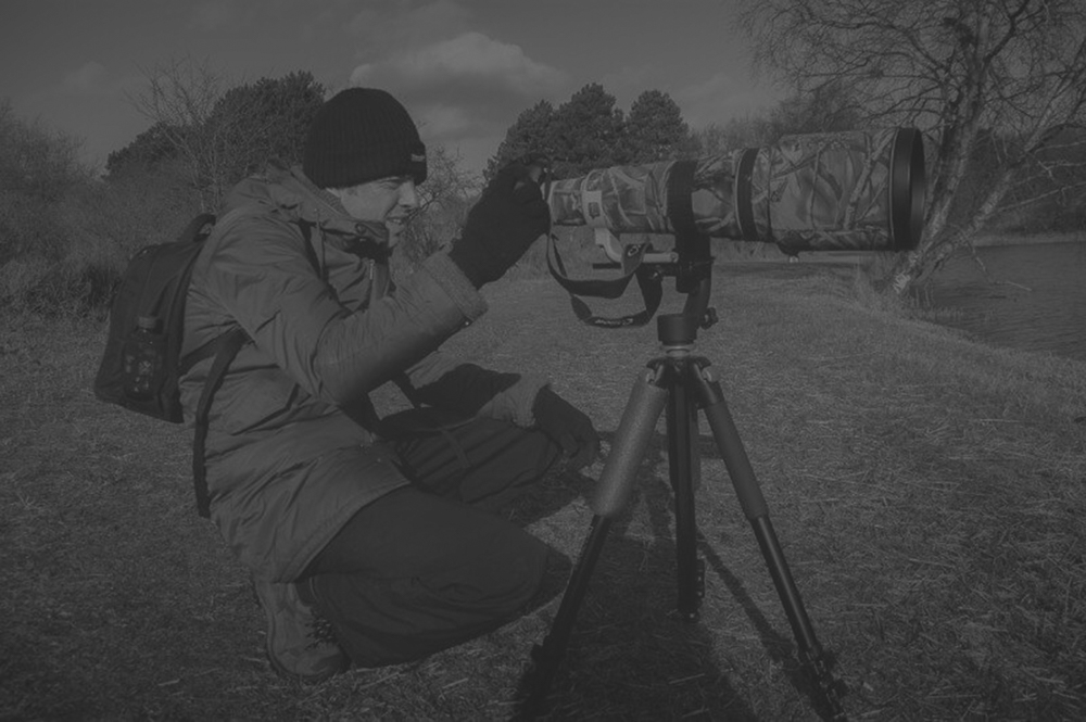 Natuurfotografie Mathijs Frenken Natuurfotografie Mathijs Frenken