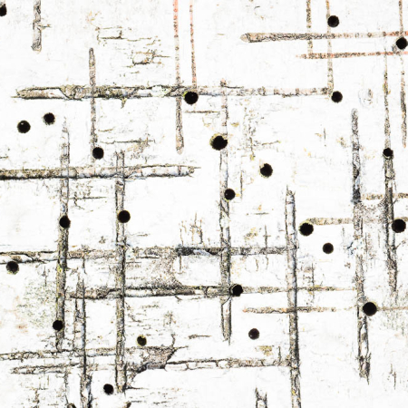 Abstracte macro-opname van witte berkenschors met een grafisch patroon van horizontale lijnen en kleine zwarte gaatjes.