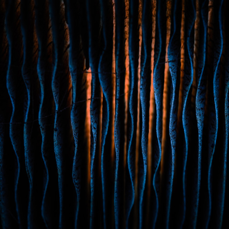 Macro-opname van de verticale lamellen onder de hoed van een paddenstoel met een mysterieus spel van blauw licht en een warme gloed in de diepte.